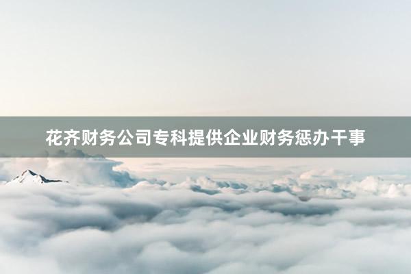花齐财务公司专科提供企业财务惩办干事